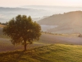 Le Marche_2011-05-23_482.jpg